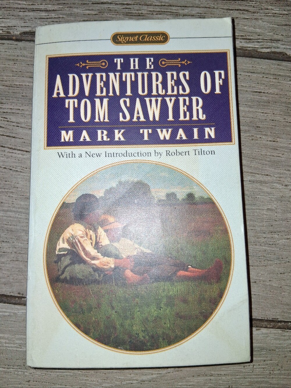 The Adventures of Tom Sawyer - Cream & Blue Classic Cover
